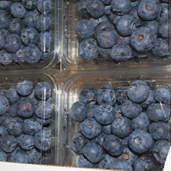 Packed Blueberries